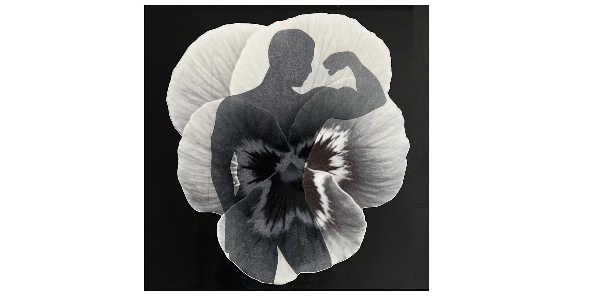 Bicep Silhouette Pansy